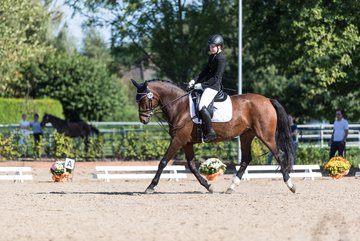 Bild 49 - Fuchshof Turnier
